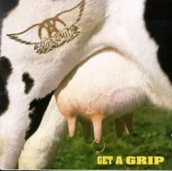 411K3F1SVDL.jpg Aerosmith - Get A Grip (RC)