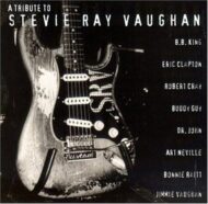 Tribute to Stevie Ray Vaughan - Various Artists (RC)