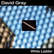 David Gray - White Ladder (H)