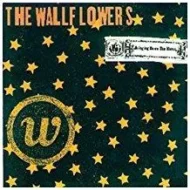 The Wallflowers - Bringing Down the Horse