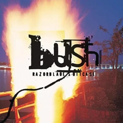 71CgKeHq_2BRL._SX522.jpg Bush - Razorblade Suitcase