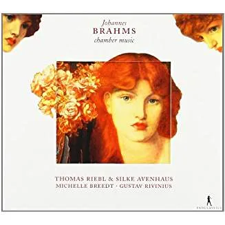 51mA0AaWvdL._AC_US327_QL65_.jpg Johannes Brahms - Chamber Music