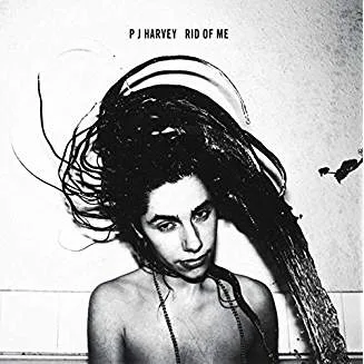 516q6at4C1L._AC_US327_QL65_.jpg PJ Harvey - Rid Of Me (WTC)