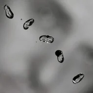 Peter Gabriel - Up (Enhanced CD) (H)