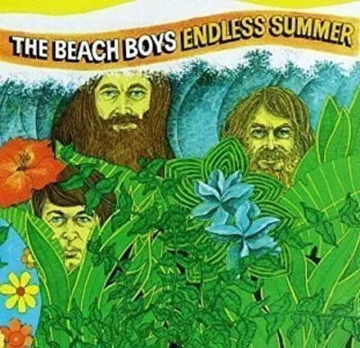 51jQ3cHEHFL._AC_UL480_QL65_.jpg The Beach Boys - Endless Summer (RC)