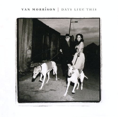 Van Morrison - Days Like This album cover Van Morrison - Days Like This