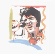 41RH734VR3L._AC_UL604_QL65_.jpg Elvis Presley - The Alternate Aloha (H)