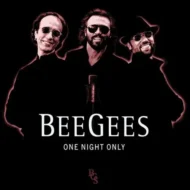 71HIZtZdHiL._AC_UL654_QL65_.jpg Bee Gees - One Night Only