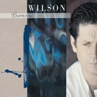 91Fsj8g5qnL._AC_UY327_QL65_ML3_.jpg Brian Wilson - Brian Wilson (Sire Records)
