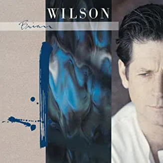 Brian Wilson - Brian Wilson (Sire Records)
