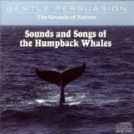 Sounds And Songs Of The Humpback Whales