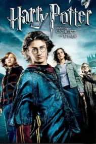 Harry Potter and the goblet of fire Harry Potter and the Goblet of Fire (DVD)
