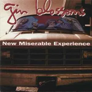 Gin Blossoms - New Miserable Experience Gin Blossoms - New Miserable Experience