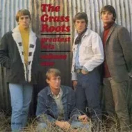 The Grass Roots' Greatest Hits Volume One The Grass Roots' Greatest Hits Volume One
