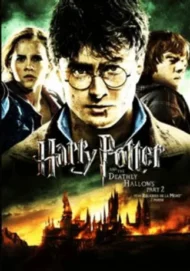 Screenshot 2025-09-01 at 15-29-36 Harry Potter and the deathly hollows part 2 dvd at DuckDuckGo Harry Potter and the Deathly Hallows Part 2 (DVD)