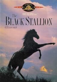 The Black Stallion (DVD) (SS)