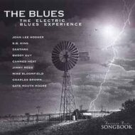 The Blues - The Electric Blues Experience - Various Artists