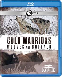 Cold Warriors - Wolves and Buffalos (Nature) (Blu-ray) Cold Warriors - Wolves and Buffalos (Nature) (Blu-ray)
